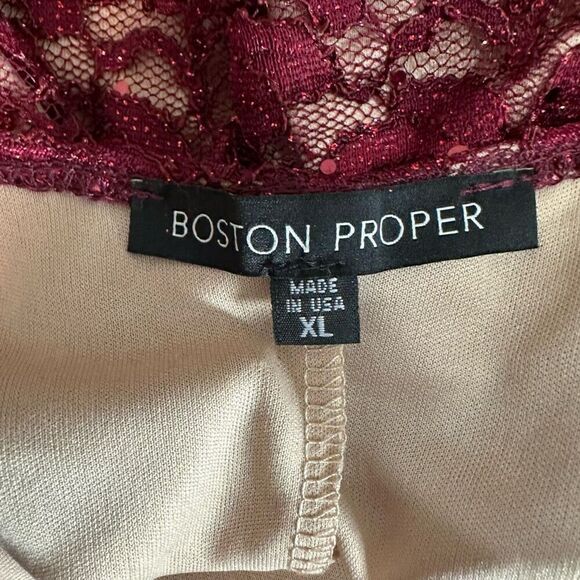 Boston Proper Sparkle Lace Longsleeve Top Womens XL Square Neckline & Keyhole - Picture 5 of 10